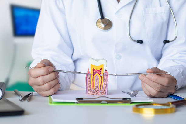 Best Emergency Dental Care for Broken or Chipped Teeth in Belgrade, MT